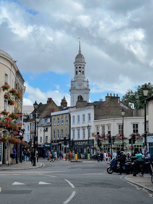 A vibrant street scene in Forest Hill featuring a range of floral displays in window boxes and hanging baskets adorning the facades of shops and buildings. The street is bustling with pedestrians and