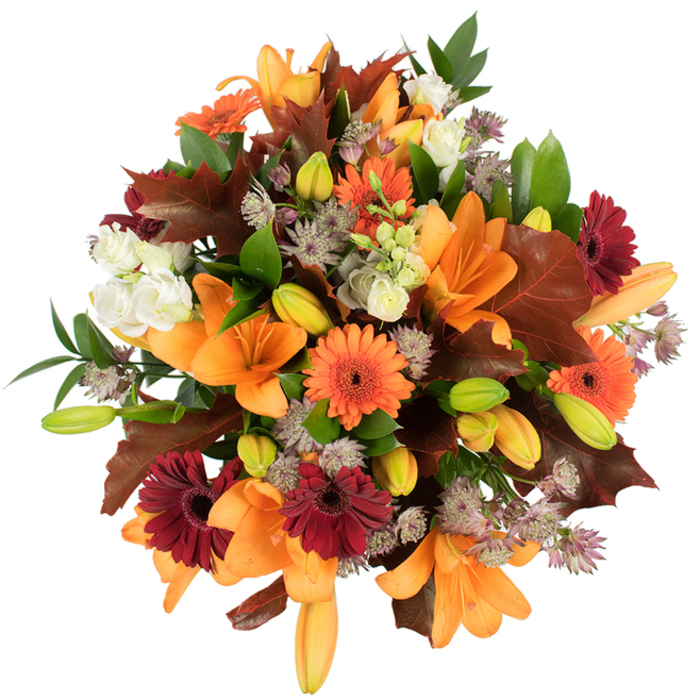A lush, elevated close-up of an autumnal hand-tied bouquet, photographed against a pristine white backdrop so every texture and tone reads clearly. Several orange Asiatic lilies dominate the scene, their wide, trumpet-shaped petals unfurled in full bloom while numerous tight buds in bright green and soft orange promise additional flowering. Orange and deep burgundy Gerbera daisies are woven through the arrangement, their bold, sunburst petals and darker centres providing joyful punctuation among the lilies. Small clusters of creamy white Lisianthus or similar ruffled blossoms introduce a gentler, layered texture that calms the richer hues. Interspersed throughout are delicate, star-like Astrantia in muted purples and grey-lilac tones; these add an intricate, airy texture that contrasts with the larger, smoother petals.
Accenting the composition are broad, lobed leaves in deep reddish-brown - evocative of classic autumnal oak leaves - their shapes and veins carefully displayed to reinforce the season. Fresh green foliage and slender stems create a framework that lifts and defines the rounded profile, keeping the design tight, balanced, and very fresh-looking. The lighting is bright and even, highlighting petal veins and the subtle interplay between matte foliage and slightly glossy petals.
This arrangement reads as both abundant and refined, perfect for harvest-season décor, a Thanksgiving centrepiece or a thoughtful autumn gift. Its blend of warm oranges, burgundy, brown and green evokes the comfort of wooded walks around Perry Vale and the soft, harvest air in Forest Hill. The bouquet communicates tactility and scent - velvety petals, crisp leaves, and a faint, sweet floral perfume - making it immediately inviting.