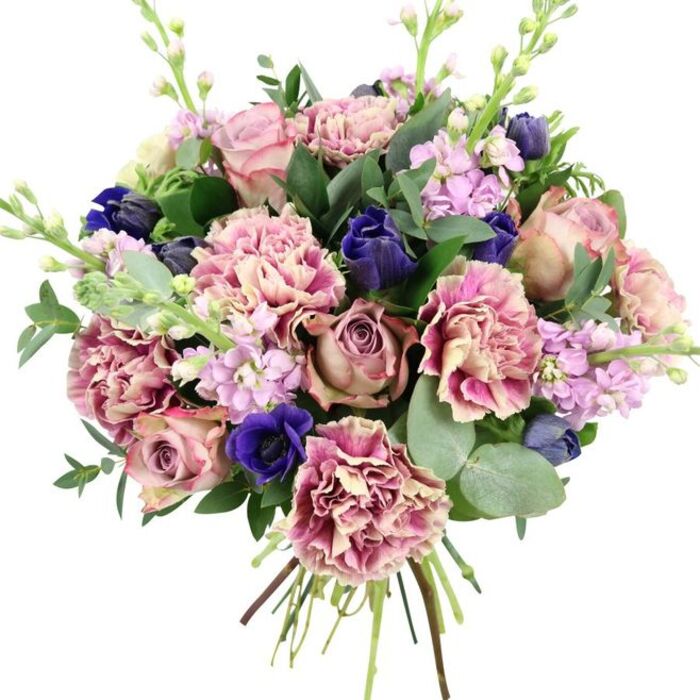 Shown against a clean white background, this luxurious bouquet feels like a complete story in flowers, the kind of arrangement a local Forest Hill florist would craft for a special doorstep surprise. At the core, large garden roses in shades of soft blush pink, dusty mauve, and antique rose unfurl in tight spirals, providing a classic and deeply romantic centrepiece. Nestled among them, generous heads of ruffled carnations bring volume and a playful edge; their petals start in creamy beige or very pale pink at the centre and gently deepen into rose, fuchsia, and plum along the lace-like edges, creating layers of texture that catch the light. To offset the warmth, the florist has woven in powerful notes of deep indigo and royal blue. A prominent anemone with a dark, almost black centre sits near the lower front of the bouquet, its velvety petals commanding attention, while nearby closed or half-open tulip-like blooms echo its cool, jewel-toned shade. Rising through and above the main flowers, softly coloured lilac and pale lavender stock add vertical movement; each slender stem is dotted with many small blossoms, lending a weightless, cloud-like appearance and suggesting a powdery floral scent. Surrounding this display is a frame of greenery: rounded, silvery eucalyptus leaves mingle with darker, elongated foliage, filling the spaces between blossoms and giving a fresh, garden-picked feel reminiscent of the greenery around Forest Hill's parks. The stems are neatly bound and visible at the base, marking it as a freshly tied, high-quality bouquet ready for delivery throughout Forest Hill and nearby streets. With its thoughtful blend of pinks, purples, blues, and greens, this arrangement is ideal for weddings, anniversaries, spring celebrations, or any moment that calls for a sophisticated and heartfelt floral gesture.