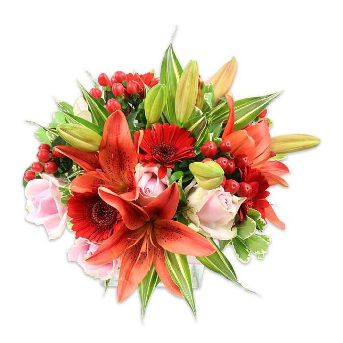 Framed against a bright white backdrop, this densely packed floral arrangement reads as both modern and timeless, a study in colour gradation and tactile contrast. Large, open Asiatic lilies in a vibrant orange-red dominate the view, their recurved petals and subtle speckling catching light and shadow while the dark-tipped stamens provide delicate structural detail. Around them, vivid crimson Gerbera daisies contribute graphic, sunburst shapes with darker central disks that sharpen the composition, and soft blush roses - from tight buds to gently unfolding blooms - temper the intensity with their satin-smooth petals and classic form. Small clusters of hypericum berries, glossy and deep red, are tucked into the foliage like bright beads, offering a festive texture and small points of visual rest. The greens are abundant and varied: broad solid leaves give a rich backdrop, narrow lily foliage adds linear rhythm, and a few variegated leaves with pale streaks introduce a lightness that lifts the palette. Carefully arranged to create a full, rounded silhouette, the bouquet displays meticulous layering so each bloom has breathing room while contributing to the overall sweep. Imagine stepping into the Horniman Gardens on a cool morning - the scent would be quietly floral with the lilies' warm spice and the roses' sweet depth - and that same sensibility of place informs this piece. Ideal for marking warm celebrations, brightening a dining table, or sent as a thoughtful gift delivered locally across Forest Hill and the surrounding SE23 streets, this bouquet celebrates fresh-cut abundance and considered floral design.