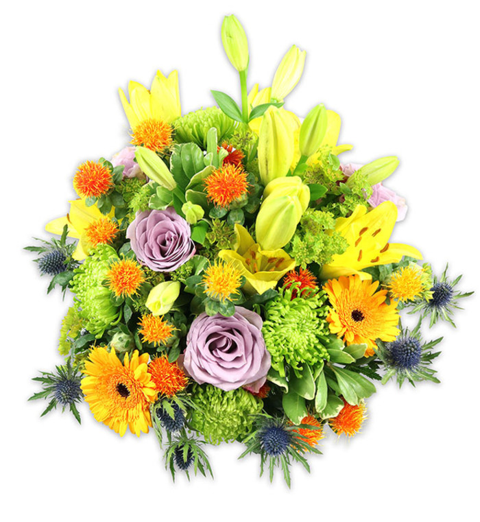 A striking, densely packed floral composition sits against a pristine white background, its vivid colours arranged to feel both joyful and elegantly modern. Dominant yellow Asiatic lilies rise through the centre, some fully open with their freckled petals and visible stamens, others still as tapered chartreuse-yellow buds that add graceful height and anticipation. Two or three soft lavender-purple roses are nestled centrally, their layered, velvety petals providing a refined, calming focal point among the brighter tones. Cheerful orange Gerbera daisies fan out like little suns, their flat petals and darker discs creating bold focal points, while abundant lime-green button chrysanthemums or cushion mums supply plush, sculpted texture that fills the bouquet generously. Scattered among them are smaller, globe-like orange and golden accents-resembling Craspedia or other small spiky blooms-that bring twinkling pops and a playful surface texture. The arrangement's most distinctive contrast comes from blue-grey Eryngium thistles; their starry, spiky bracts jut from lower and side positions to introduce a cool, architectural note against the warm chroma. A variety of foliage-long lily leaves and smaller glossy greens-wrap around the flowers, creating depth, shadow and a natural, garden-fresh sense. The imagined scent is a clean, uplifting mingle of lilies and roses with a hint of green freshness. Prepared by Florist Forest Hill with the eye of a local craftsman who draws inspiration from Horniman Gardens and nearby Sydenham Hill light, this bouquet reads as celebratory yet composed, perfect for anniversaries, thank-you gifts or as a bright, comforting centrepiece delivered within the local neighbourhood.